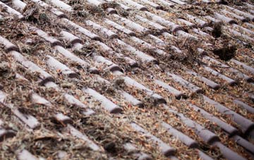 Mickleby roof cleaning companies