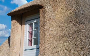 Mickleby thatch roof disadvantages