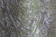 Mickleby fibreglass roof work